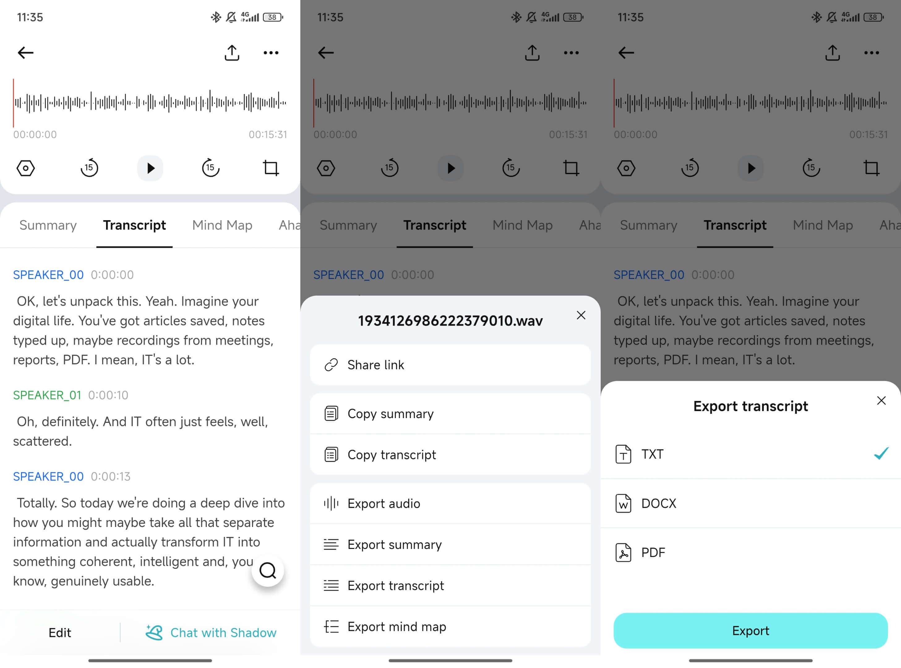 Edit transcription and export as different format
