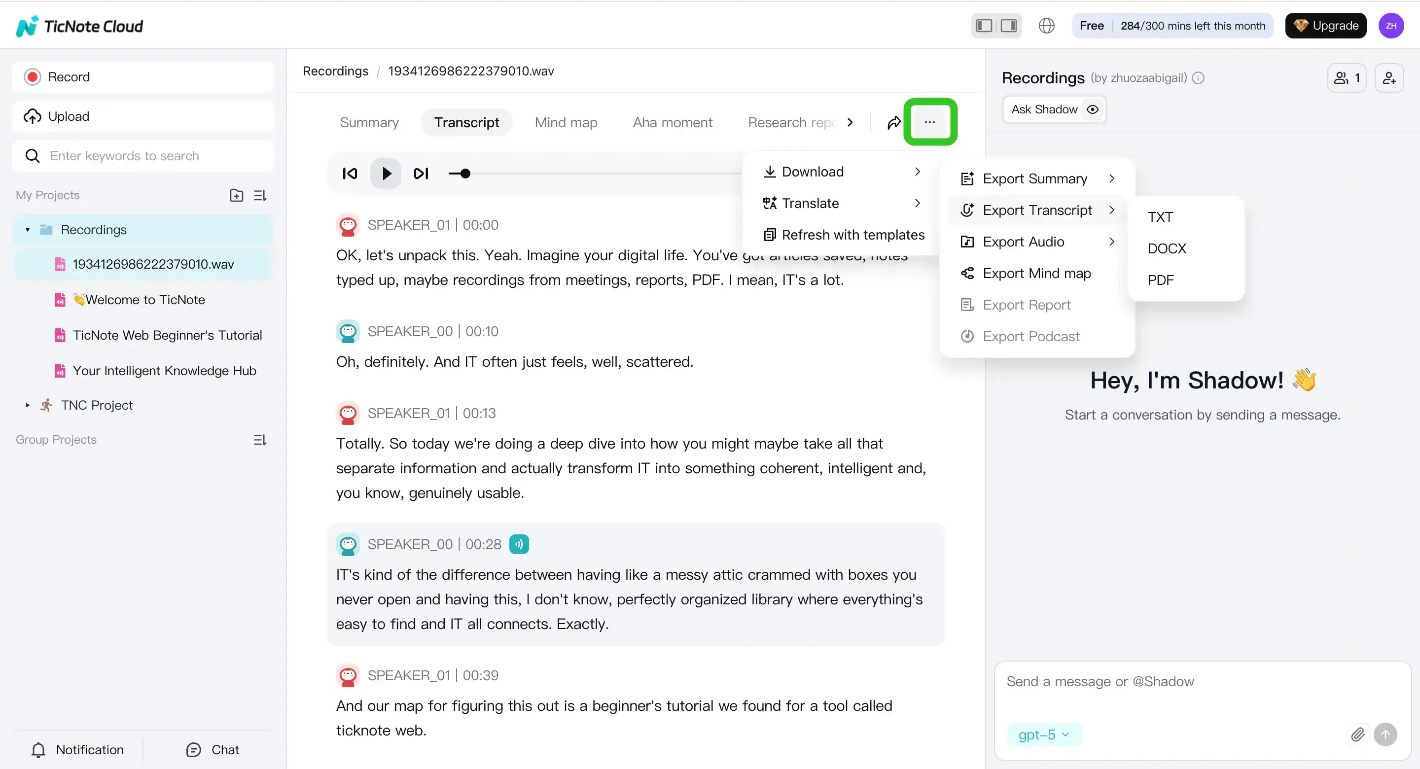 Export transcript as different formats in TicNote web Export transcript as different formats in TicNote web